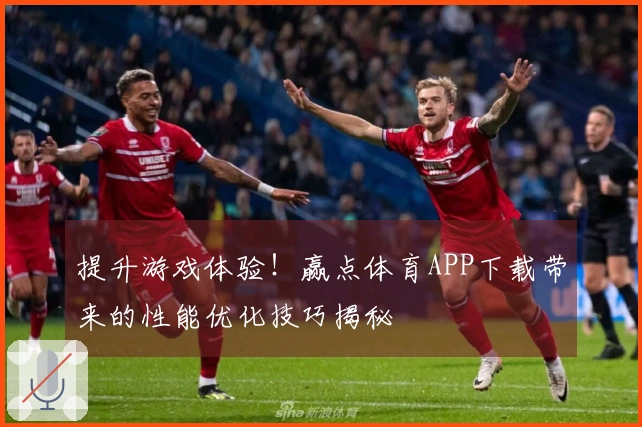 提升游戏体验！赢点体育APP下载带来的性能优化技巧揭秘