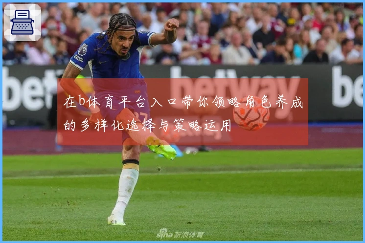 在b体育平台入口带你领略角色养成的多样化选择与策略运用