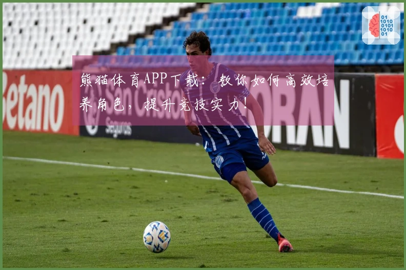 熊猫体育APP下载：教你如何高效培养角色，提升竞技实力！