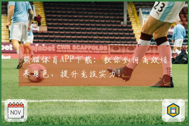 熊猫体育APP下载：教你如何高效培养角色，提升竞技实力！