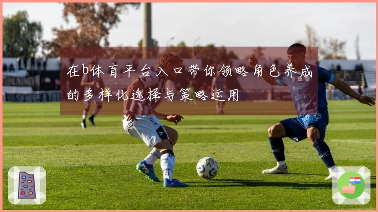 在b体育平台入口带你领略角色养成的多样化选择与策略运用